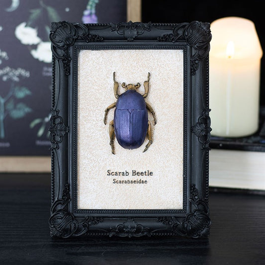 Scarab Beetle Framed Wall Art Print