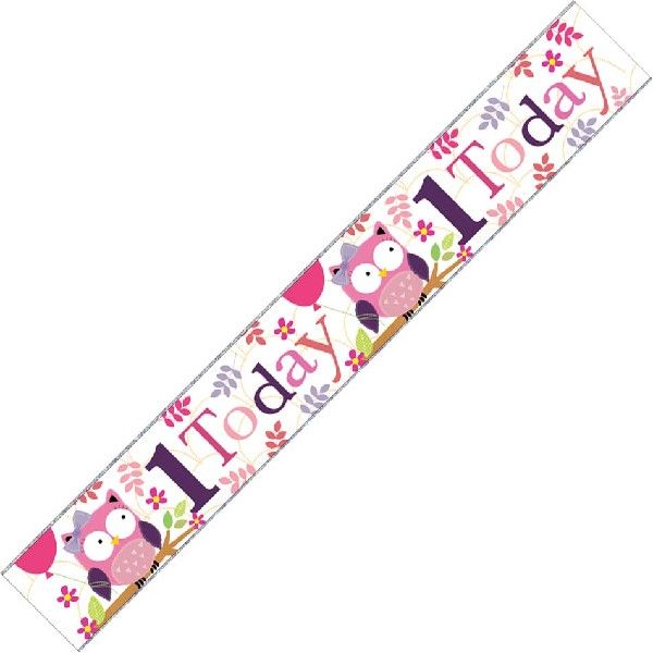 Age 1 Birthday Banner Female