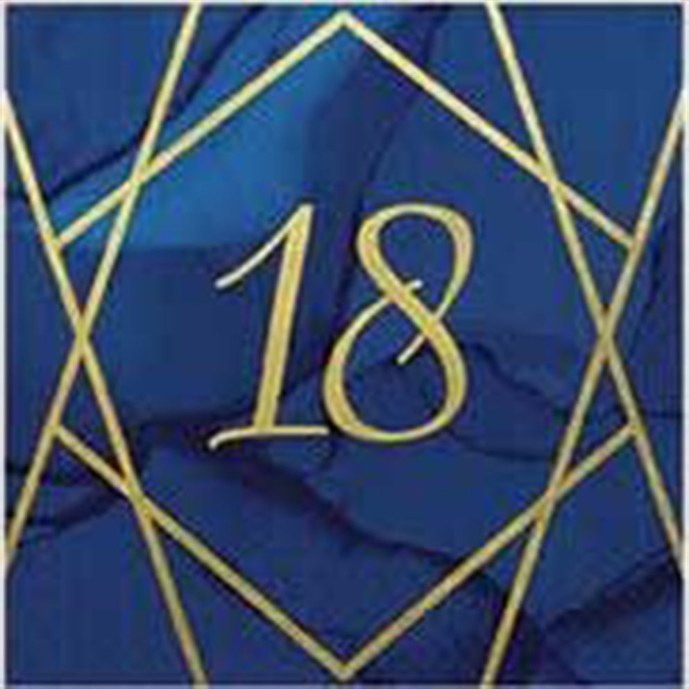 Navy and Gold Geode Lunch Napkins 3 ply Age 18 Foil Stamped