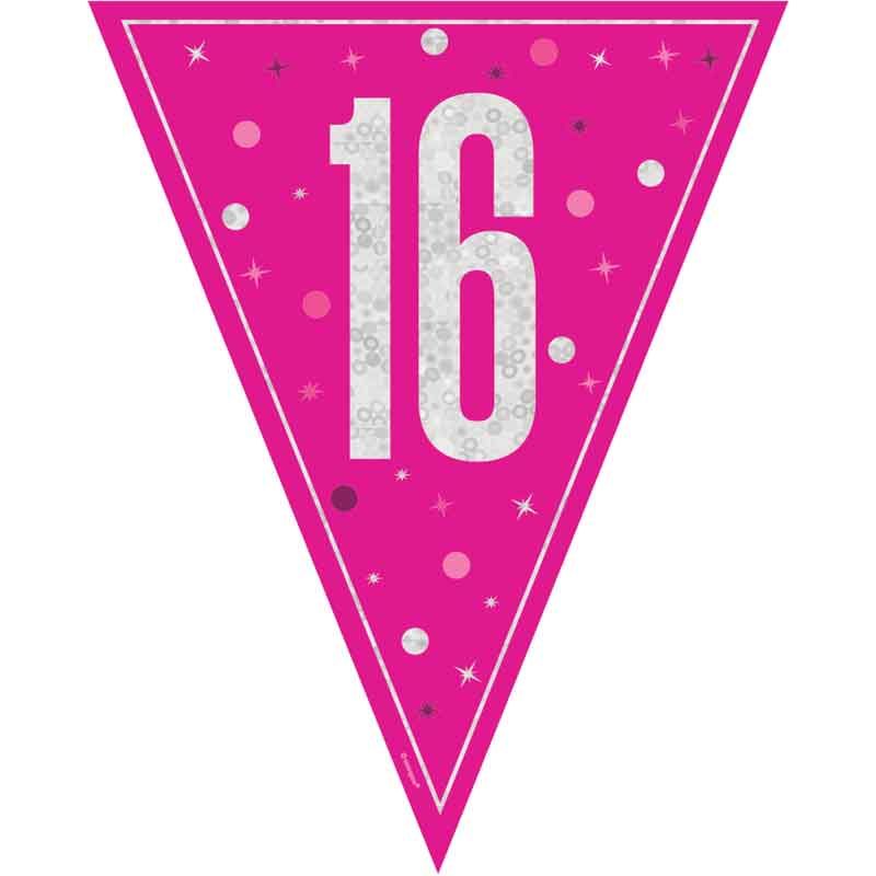 Age 16 Pink & Silver Prismatic Plastic Flag Banner Bunting 16th