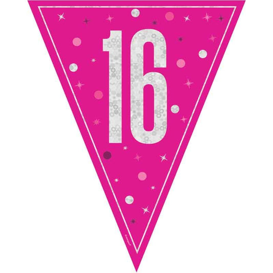 Age 16 Pink & Silver Prismatic Plastic Flag Banner Bunting 16th