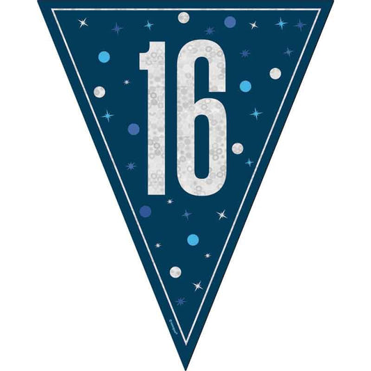 Age 16 Blue & Silver Prismatic Plastic Flag Banner Bunting 16th