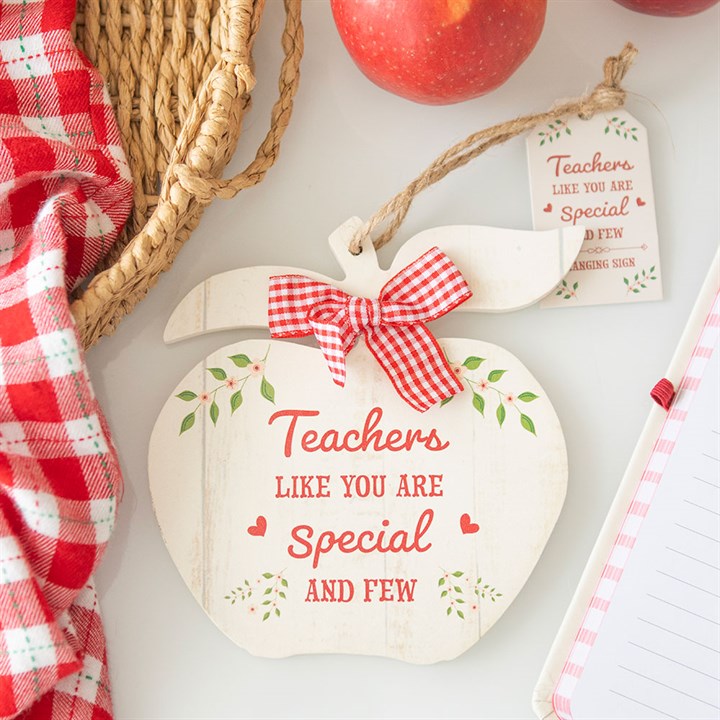 Decorative apple-shaped sign with a red checkered bow and 'Teachers Like You Are Special And Few' text on a light background.