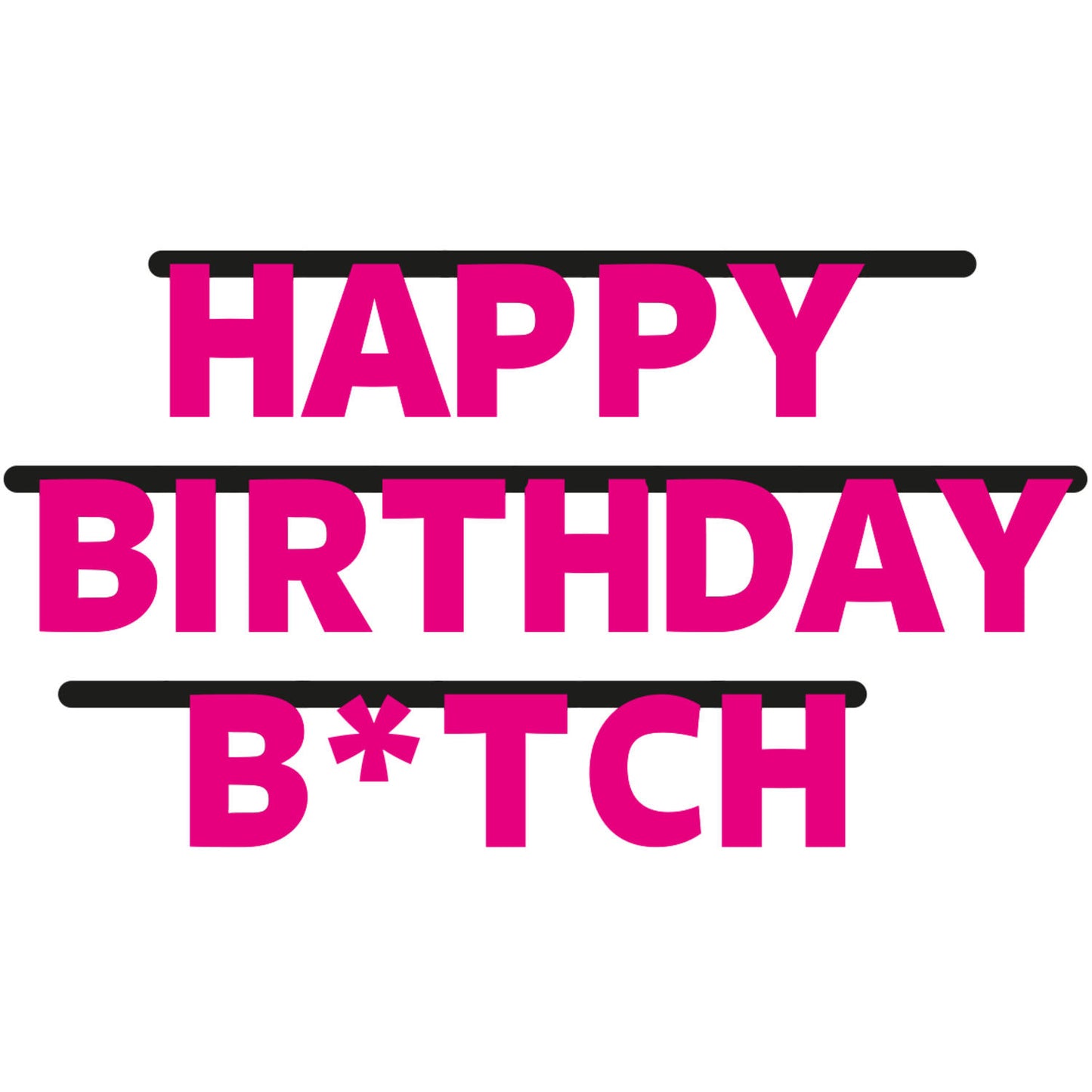 Happy Birthday B*tch Letter Banner